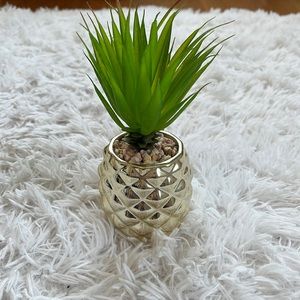Pineapple Fake Plant!!🍍🍍